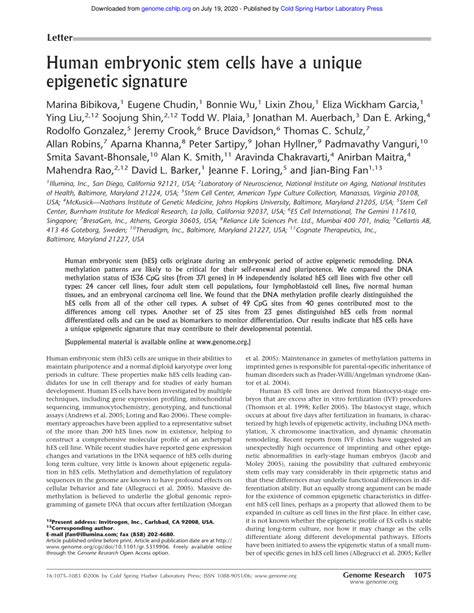 Pdf The Evolution Of Sex Biased Gene Expression In The Drosophila Brain