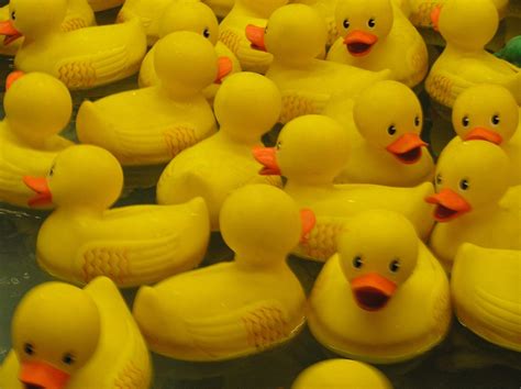 Rubber Ducky Wallpapers - Wallpaper Cave