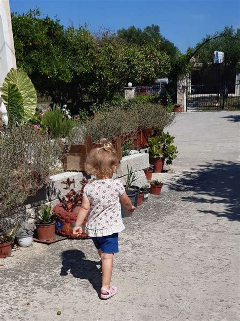 Caminar En El Patio Rompecabezas En L Nea