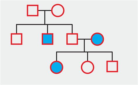 Autosomal Pedigree Chart