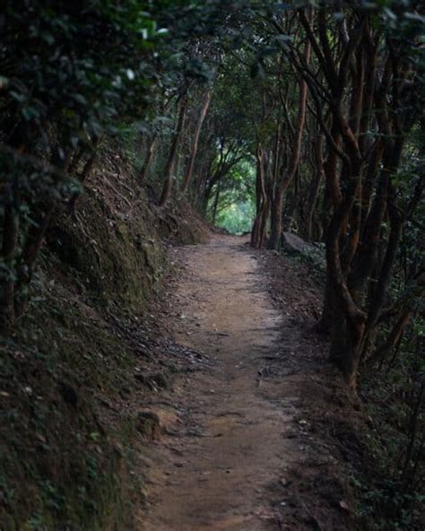 Lion Rock Hike: Hong Kong's Most Iconic Mountain! - LivingOutLau