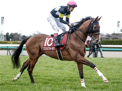 【菊花賞 調教後馬体重】ガイアフォースは488kg、アスクビクターモアは480kg 競馬ニュース Netkeiba