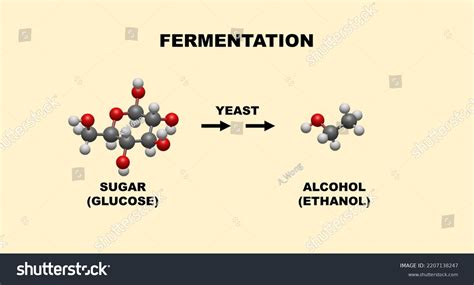 Alcohol Structural Formula Images Stock Photos Vectors