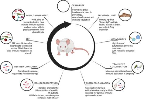 From Germ Free To Wild Modulating Microbiome Complexity To Understand