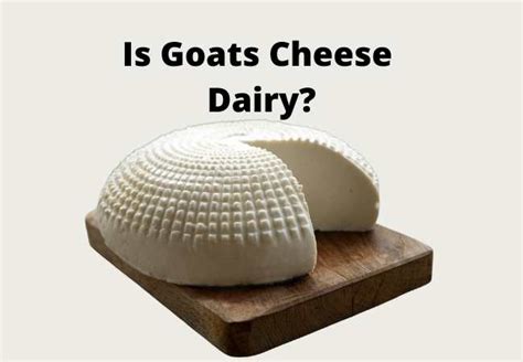 Is Goats Cheese Dairy? - Multigardening