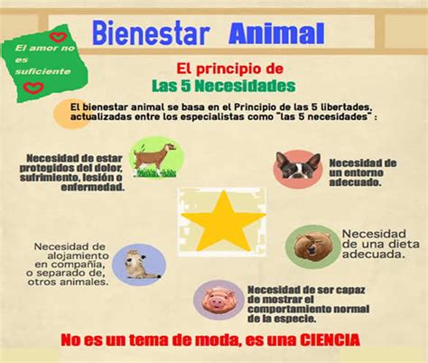 Sintético 96+ Foto Cartel De Cuidado De Los Animales Alta Definición Completa, 2k, 4k