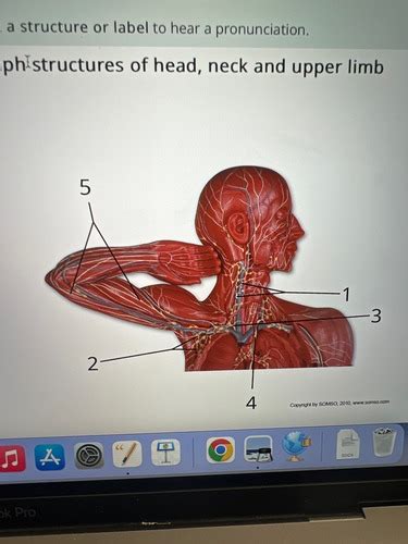 Exam Flashcards Quizlet