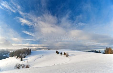 Black Forest in the winter stock photo. Image of scenery - 167363582