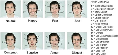 Common Facial Expressions Download Scientific Diagram