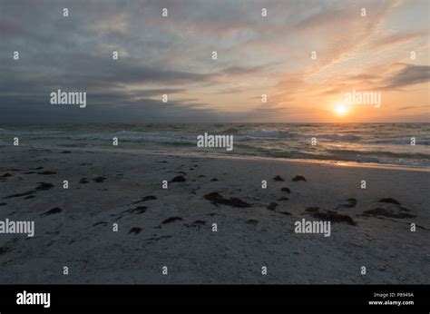 Coquina beach, Florida Stock Photo - Alamy