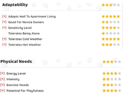 Pomsky Growth Chart (Weight Chart & Size Chart)