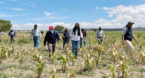 SDR indemniza a 3 mil 400 productores por contingencias climatológicas