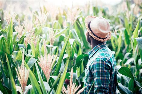 A bio-based solution for healthier farming | by Solvay | Medium