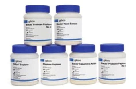 Gibco Starter Pak No 2 Quantity 1 Each Cell Culture Media