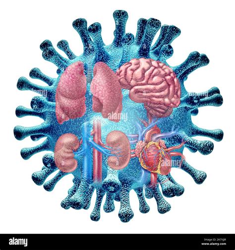 Afeccion cardiaca fotografías e imágenes de alta resolución Alamy