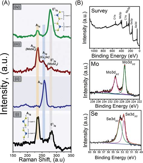 A Raman Spectra Of I MoSe 2 Ii Cu 2 Se Iii MoSe 2 Cu 2 Se