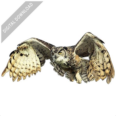 Stock Art Drawing Of A Great Horned Owl In Flight Inkart