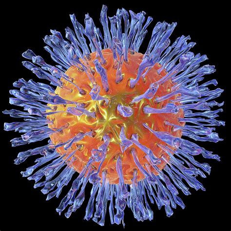 Herpes Virus By Science Photo Library