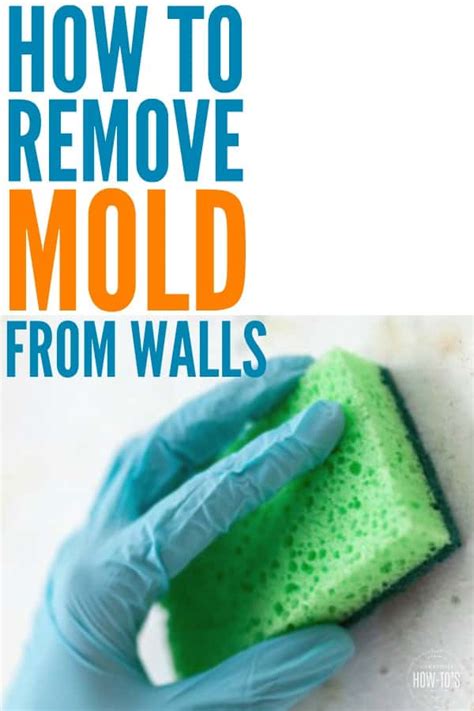 How To Remove Mold From Walls • Housewife How-To's®