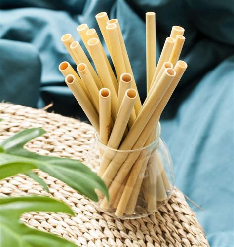 Getting started with bamboo straws - Homestraw