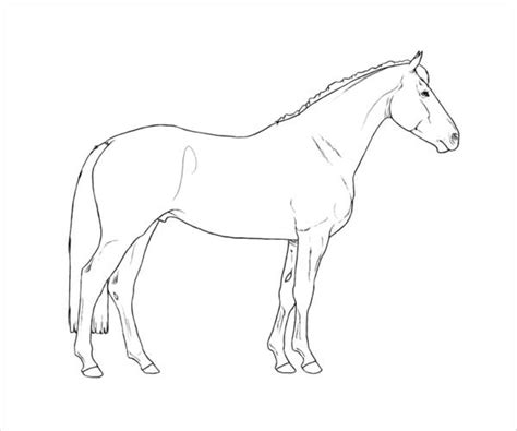 Realistic Horse Coloring Pages Printable