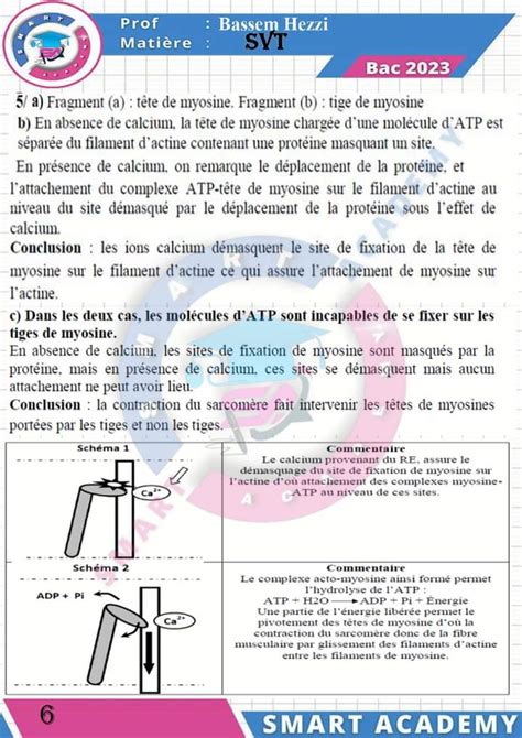 Bac Sc Exp Rimentales Sciences Svt Correction S Rie De R Vision