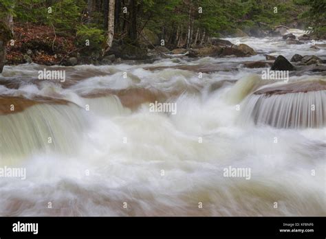 Cascade Along The Pemigewasset River Near The Flume Visitor Center In