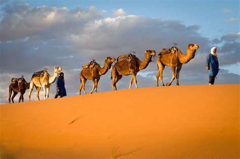 Best Desert Tour From Fez To Marrakech Via Merzouga Days Nights