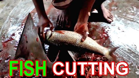 How To Fillet Every Fish Amazing Big Ruhi Fish Cutting Skills Live In