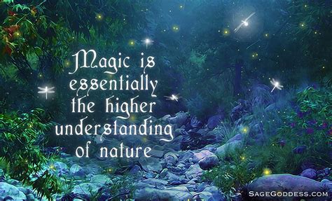 Magic Is Essentially The Higher Understanding Of Nature Lifequotes