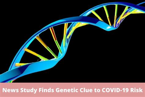 News Study Finds Genetic Clue To COVID 19 Risk Read Full News Here