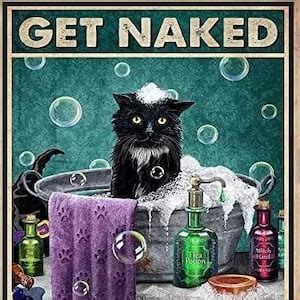 Get Naked Unless You Are Just Visiting Don T Make It Weird Wall Decor 12x8 Metal Tin Sign