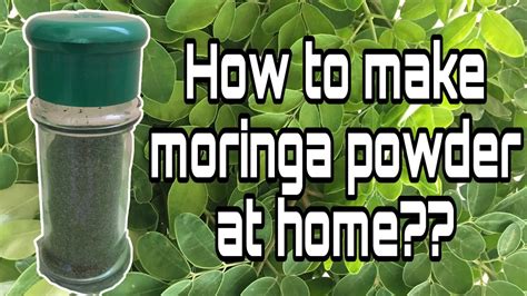 How To Make Moringa Powder At Home Malunggay Powder Youtube