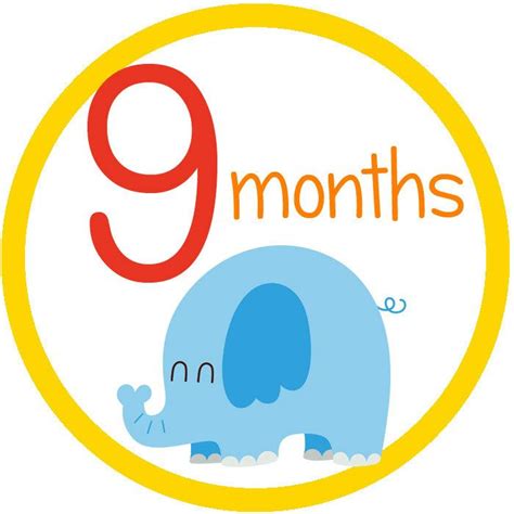 9 Months Baby Month By Month Baby Month Stickers Month Stickers