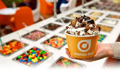 GREAT Frozen Yogurt Stores America S Best Frozen Yogurt From Orange