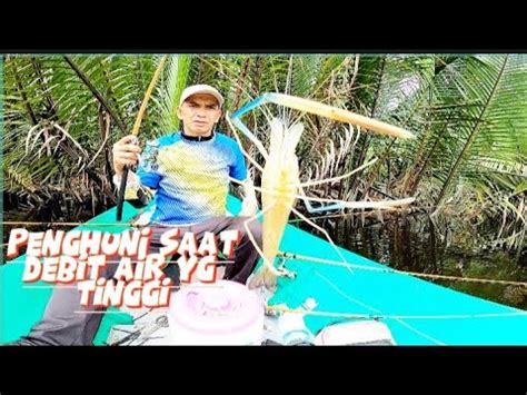 MANCING SAAT AIR PASANG TINGGI MANCING UDANG GALAH YouTube