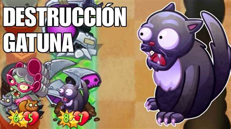 Gato Miedoso Se Roba El Mvp Plantas Vs Zombies Heroes Youtube