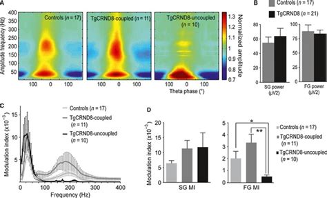 Cfc In Month Old Tgcrnd Mice A Cfc Between Theta Phase And Gamma