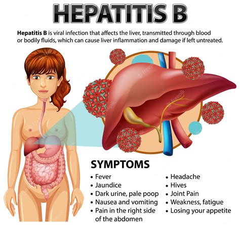 Premium Vector | Symptoms of hepatitis b