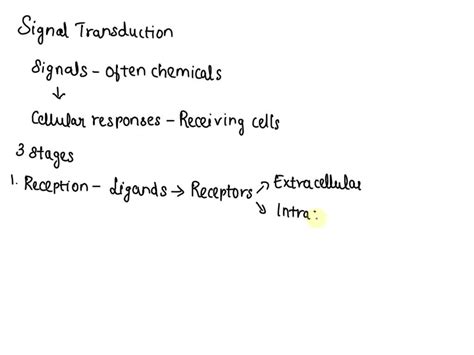 SOLVED: What is signal transduction pathways?