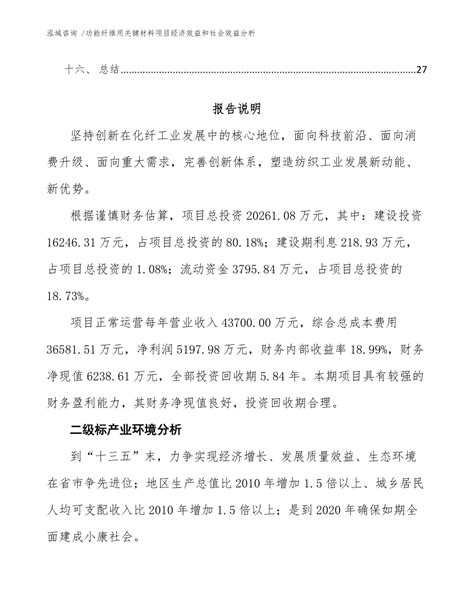 功能纤维用关键材料项目经济效益和社会效益分析参考范文