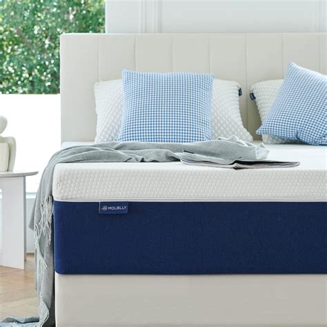 Molblly Matelas 140x190 25CM 25 cm d épaisseur Mousse à Mémoire de