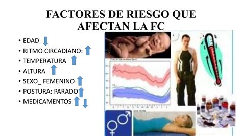 Frecuencia Cardiacapptx