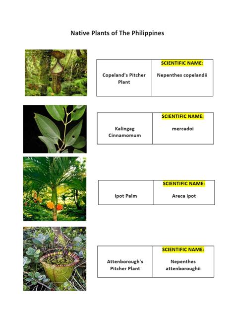 Native Plants Of The Philippines Pdf