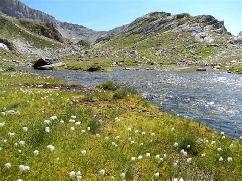 Lacs Des Lozi Res Lacs De La Roche Ferran Lac Du Pelve Moraine Du