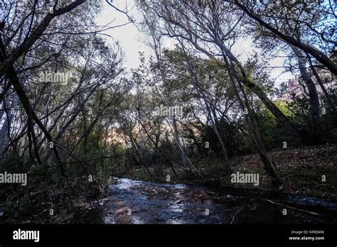 Río Cuenca los ojos en Sonora México reserva privada zona de