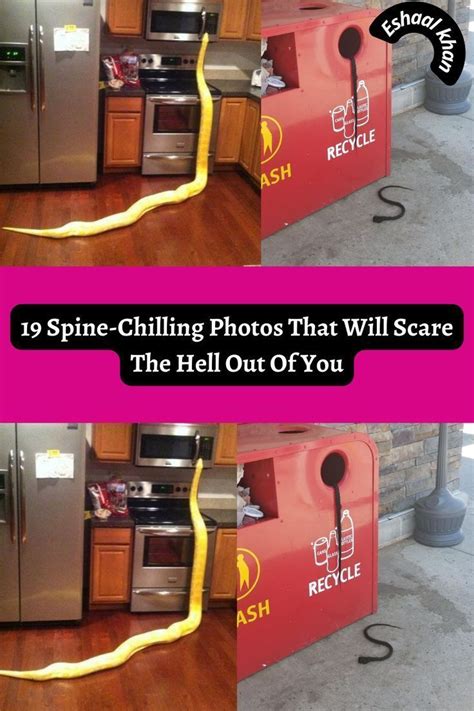 19 spine chilling photos that will scare the hell out of you – Artofit