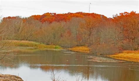 Friends of Garret Mountain Reservation