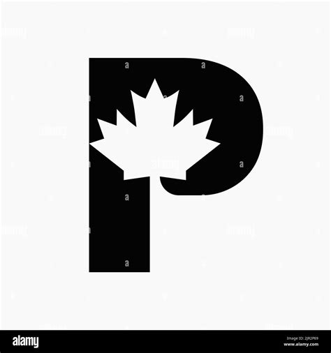 Canadian Red Maple Logo On Letter P Vector Symbol Maple Leaf Concept