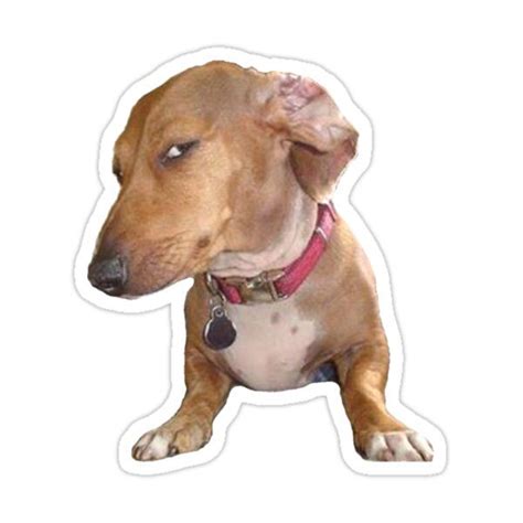 Sus Dog Meme Sticker For Sale By Thebigsadshop In 2023 Dog Memes